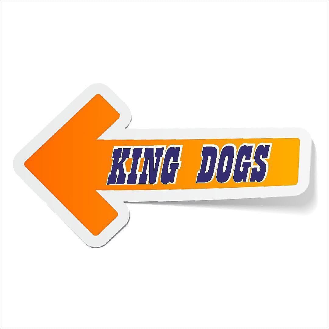 Post 9 by KING DOGS BISHKEK on Instagram (image)