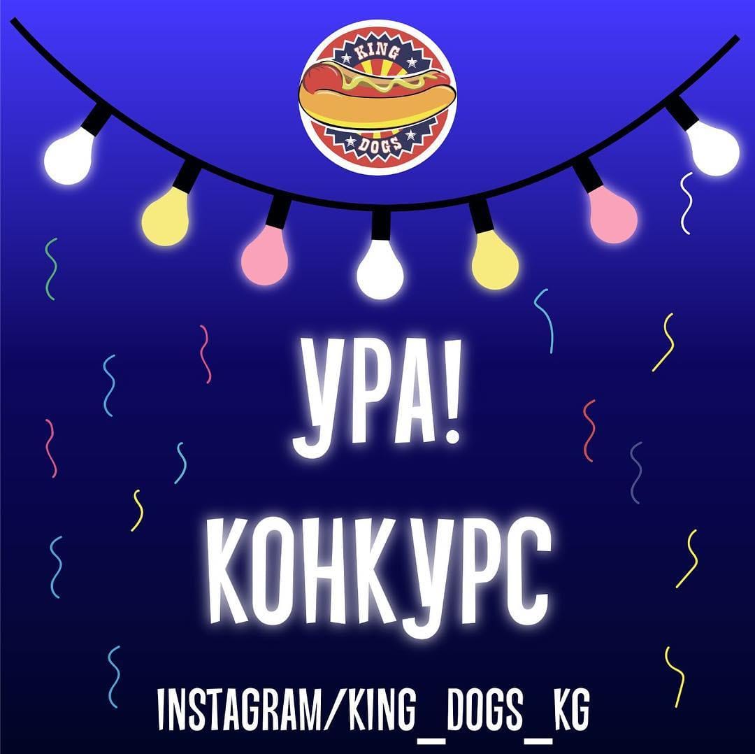 Post 5 by KING DOGS BISHKEK on Instagram (image)