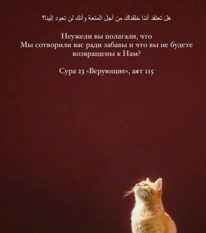 Post 3 by سلطانوفا اسما on Instagram (image)