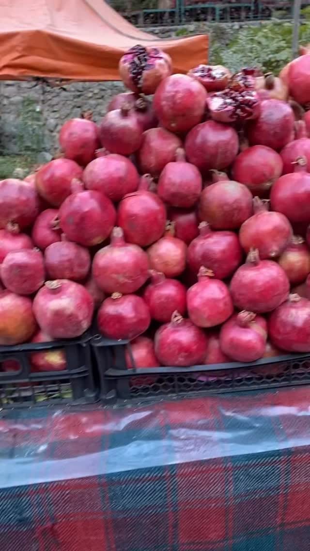 Post 7 by Lili Kheradmand on Instagram (video)
