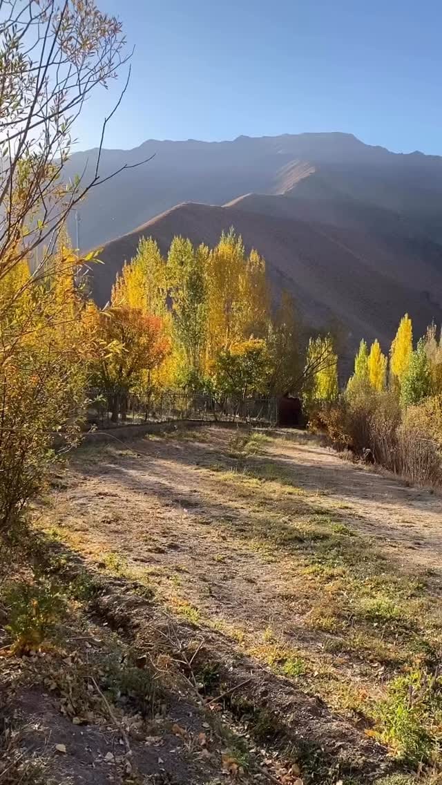 Post 9 by Lili Kheradmand on Instagram (video)