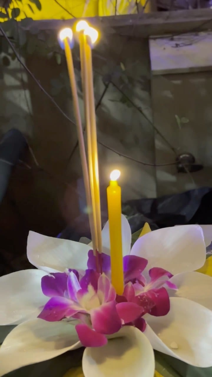 Post 6 by Darlene Longacre on Instagram (video)