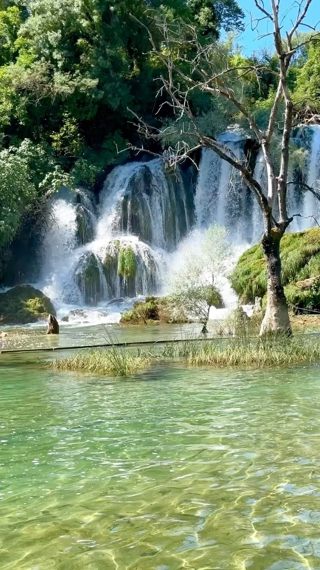 Post 10 by Darlene Longacre on Instagram (video)