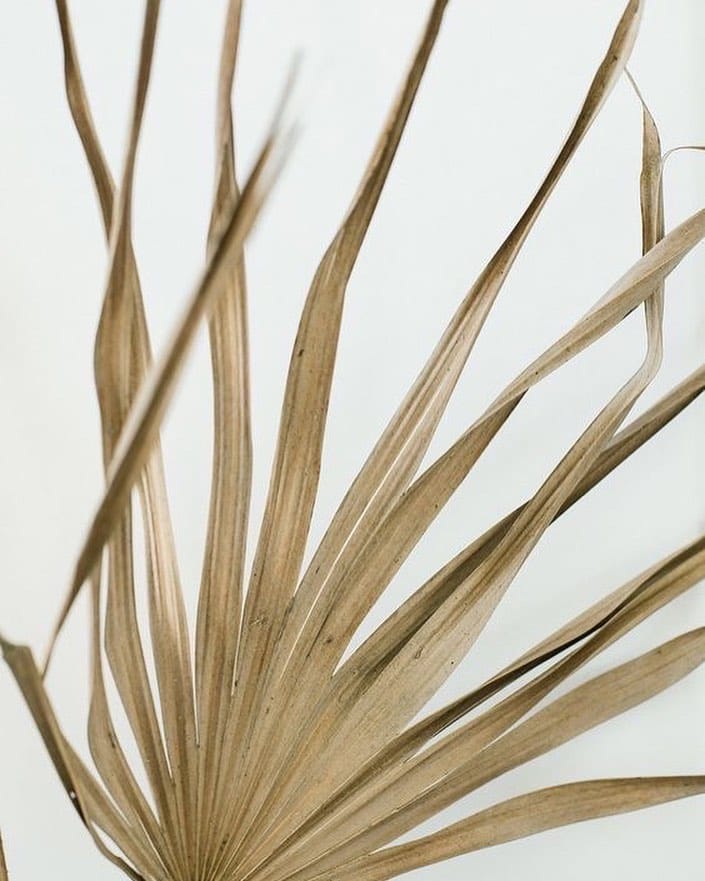 Post 5 by Adélaïde de Grandcourt on Instagram (image)