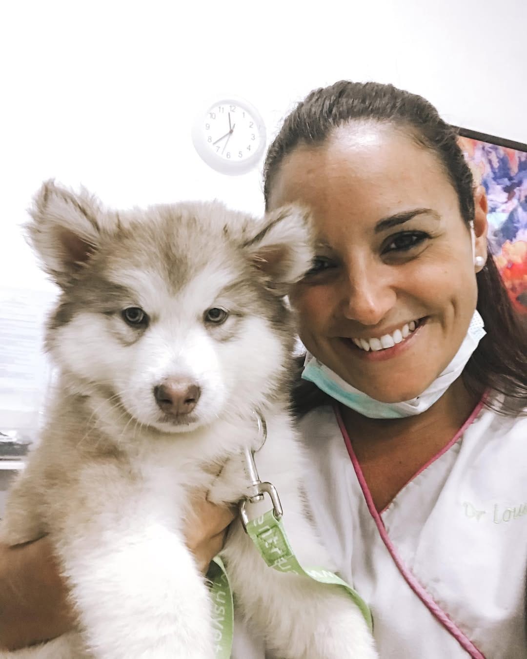 Post 4 by Lou The Vet 🐾 on Instagram (image)