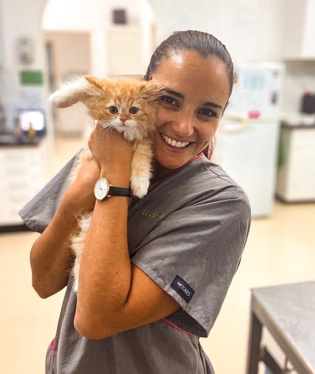 Post 9 by Lou The Vet 🐾 on Instagram (image)