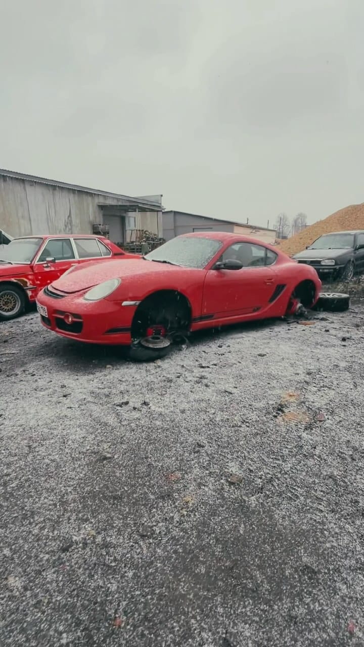 Post 8 by alexeylantsov on Instagram (video)