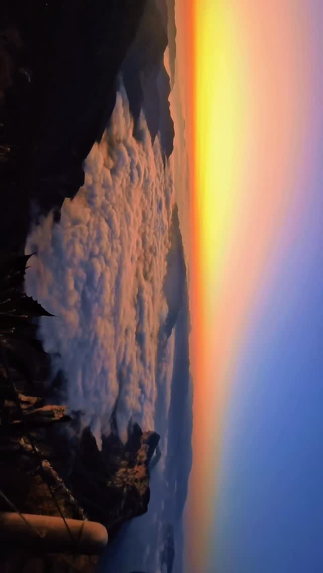 Post 6 by Cesar Torres 🇲🇽🇦🇺🇨🇴🇨🇱🇨🇦🇬🇹🇨🇷 🇪🇨🇮🇩🇲🇾🇹🇭🇻🇳🇸🇬🇵🇭 🇰🇷🇯🇵 on Instagram (video)