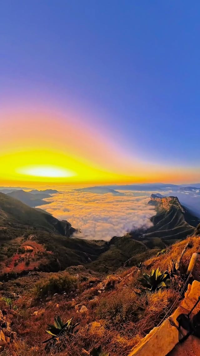 Post 5 by Cesar Torres 🇲🇽🇦🇺🇨🇴🇨🇱🇨🇦🇬🇹🇨🇷 🇪🇨🇮🇩🇲🇾🇹🇭🇻🇳🇸🇬🇵🇭 🇰🇷🇯🇵 on Instagram (video)