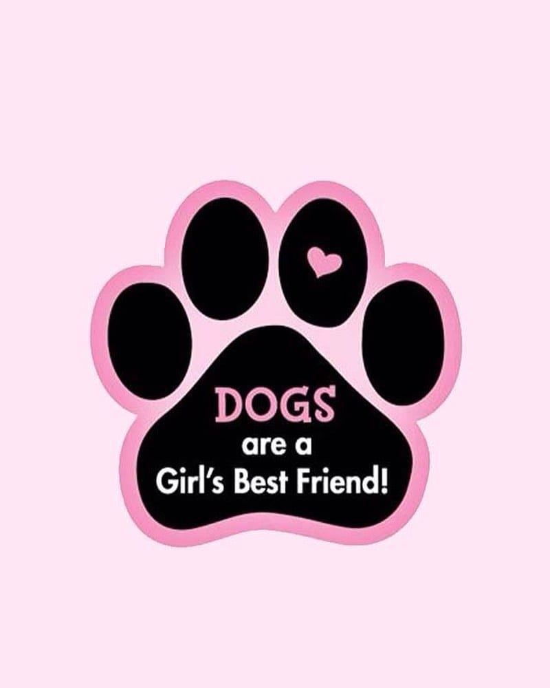 Post 5 by Pretty little Pet on Instagram (image)