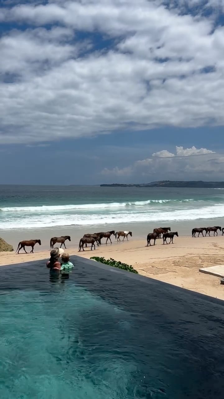 Post 5 by Nikola Bonello Dunckova on Instagram (video)