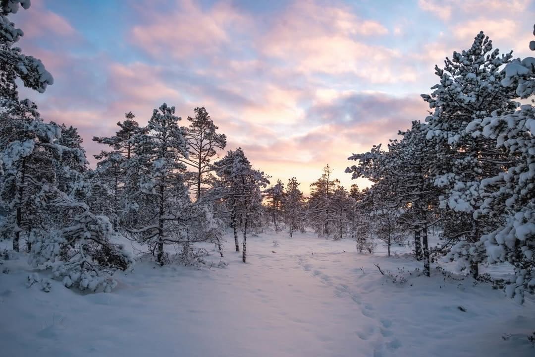 Post 9 by Eesti Fotograafid / EF on Instagram (image)