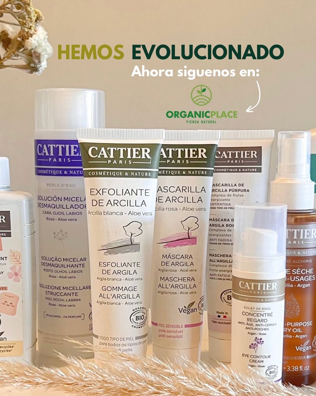 Post 2 by Cattier en Chile on Instagram (image)