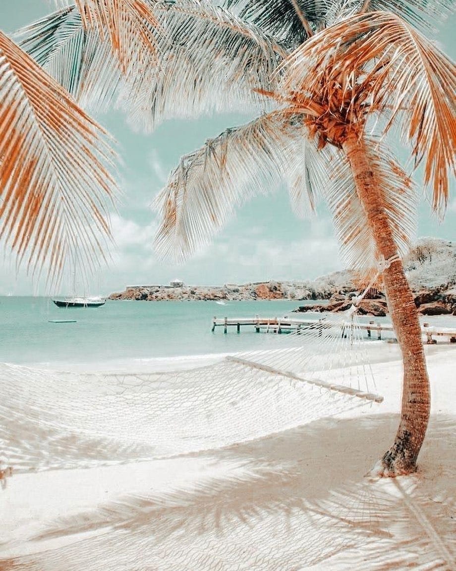 Post 7 by Design Susu on Instagram (image)