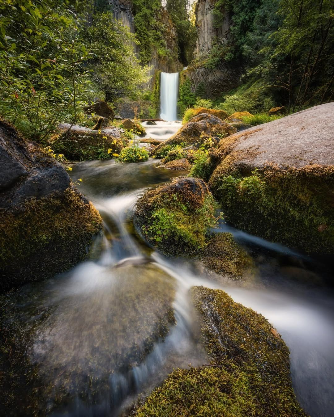 Post 8 by Kent Chiu on Instagram (image)