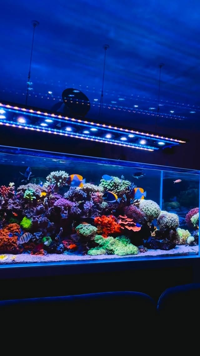 Post 4 by Avast Marine on Instagram (video)