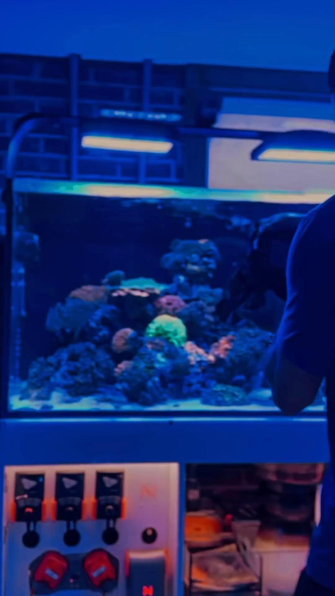 Post 10 by Avast Marine on Instagram (video)