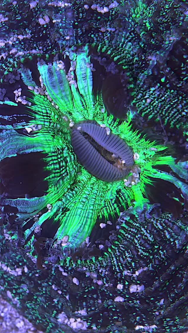 Post 3 by Avast Marine on Instagram (video)