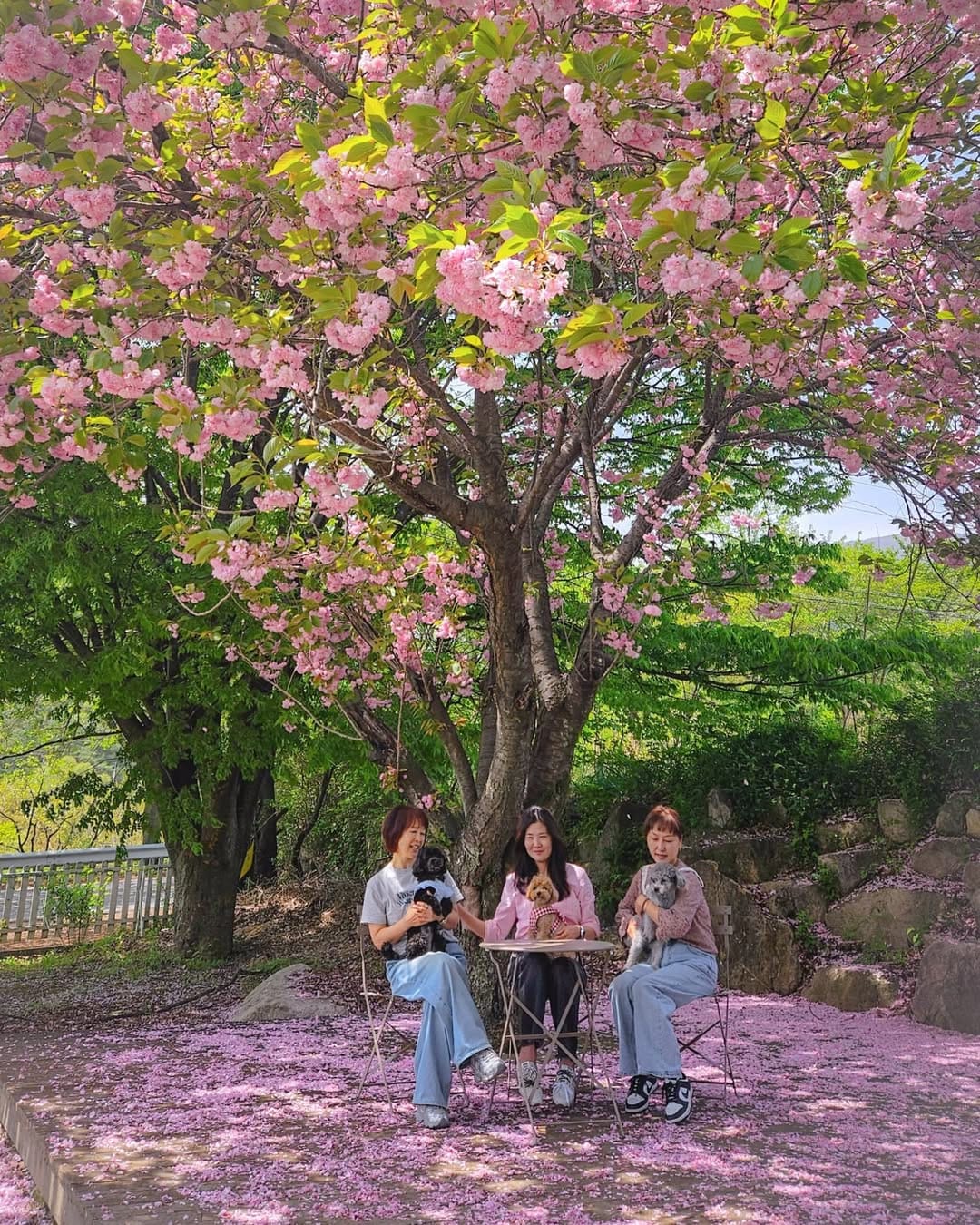 Post 6 by Son  Kyonghee on Instagram (carousel)