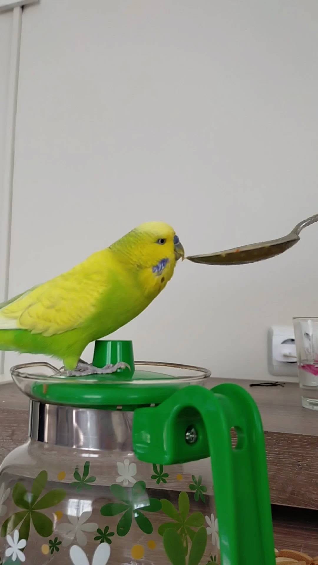 Post 1 by Merve Güneş on Instagram (video)