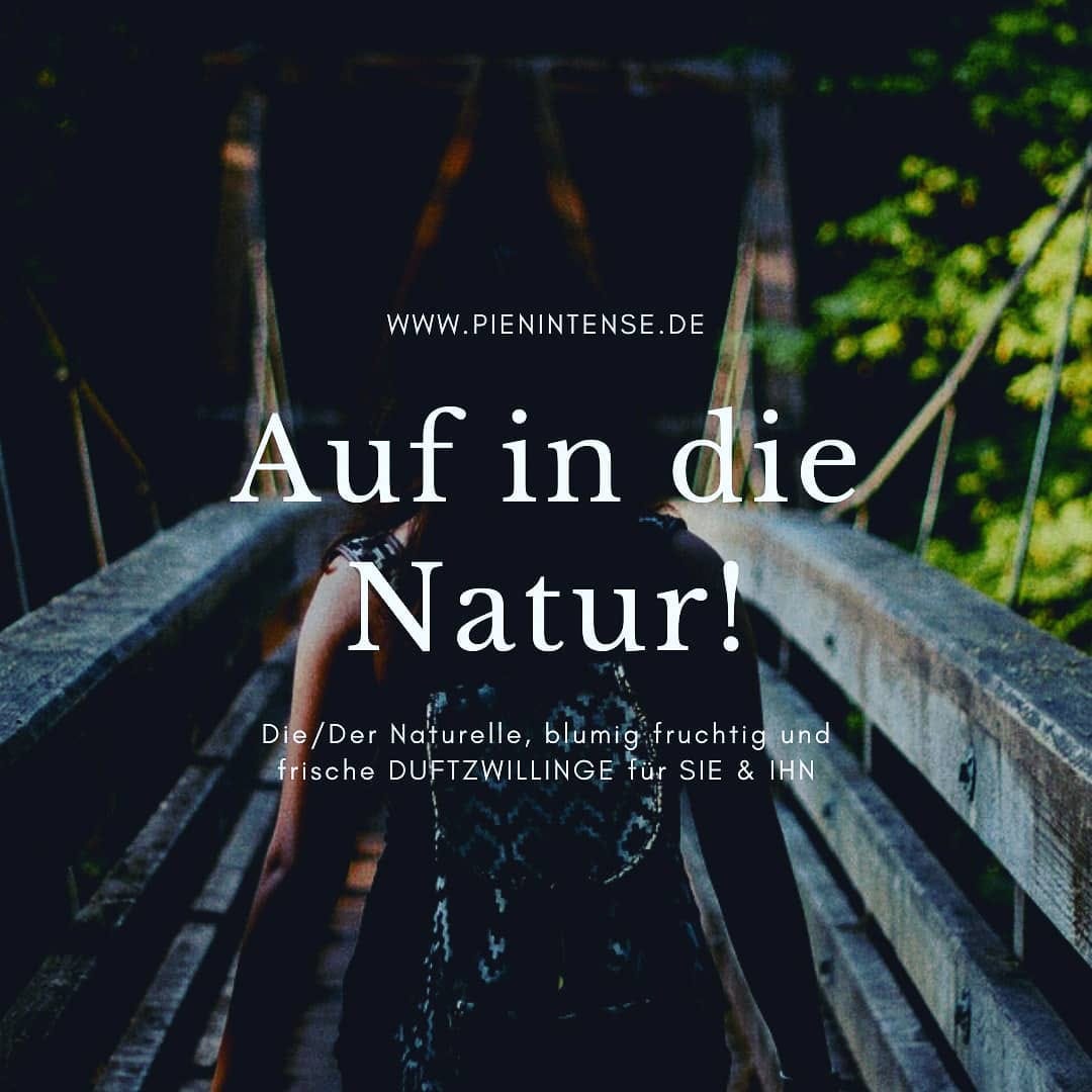 Post 6 by DUFTZWILLINGE | PARFÜME DUPES on Instagram (image)