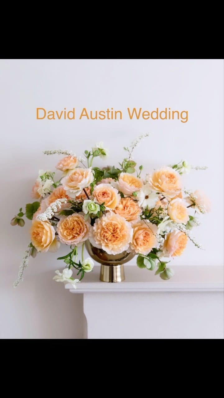Post 3 by WeddingRosesDirect.com on Instagram (video)