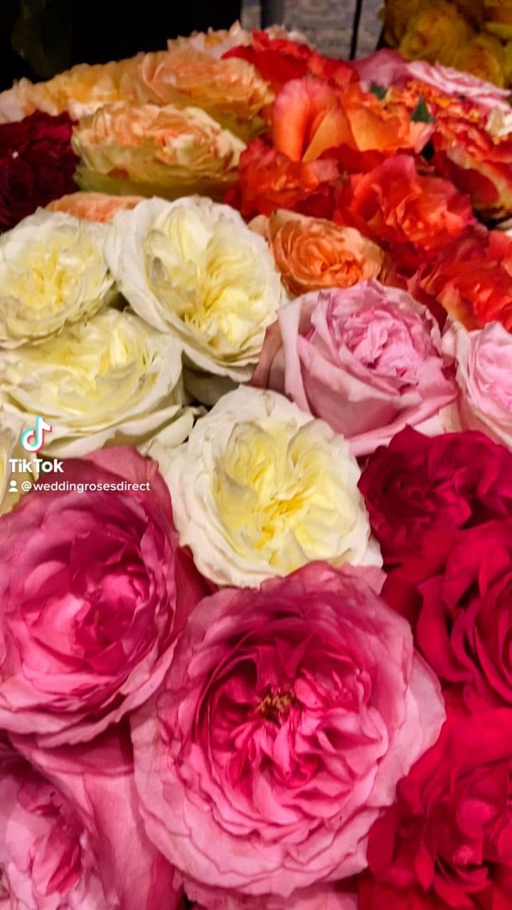 Post 9 by WeddingRosesDirect.com on Instagram (video)