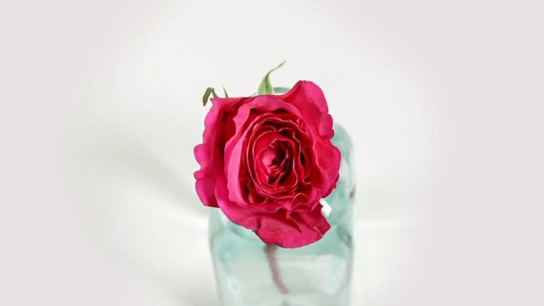 Post 1 by WeddingRosesDirect.com on Instagram (video)