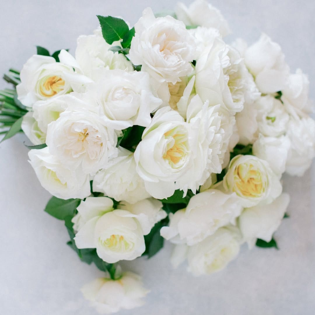 Post 6 by WeddingRosesDirect.com on Instagram (image)