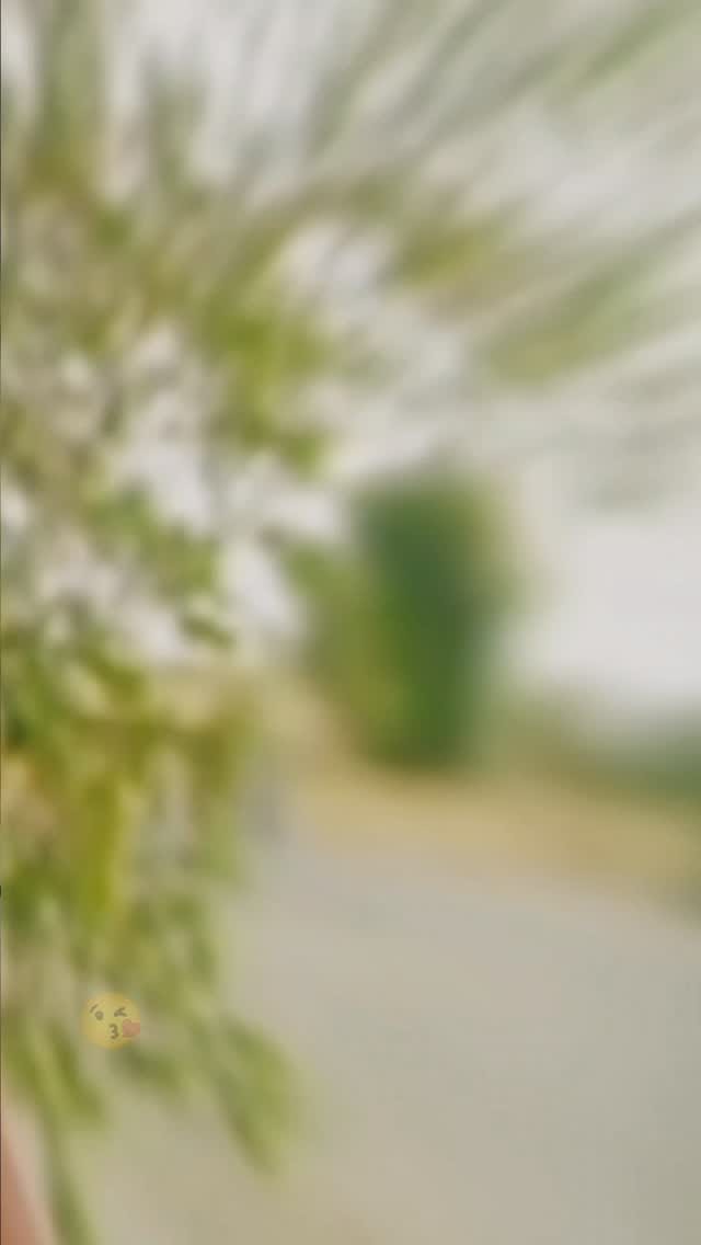 Post 7 by ممدی غم🩹🥀 on Instagram (video)