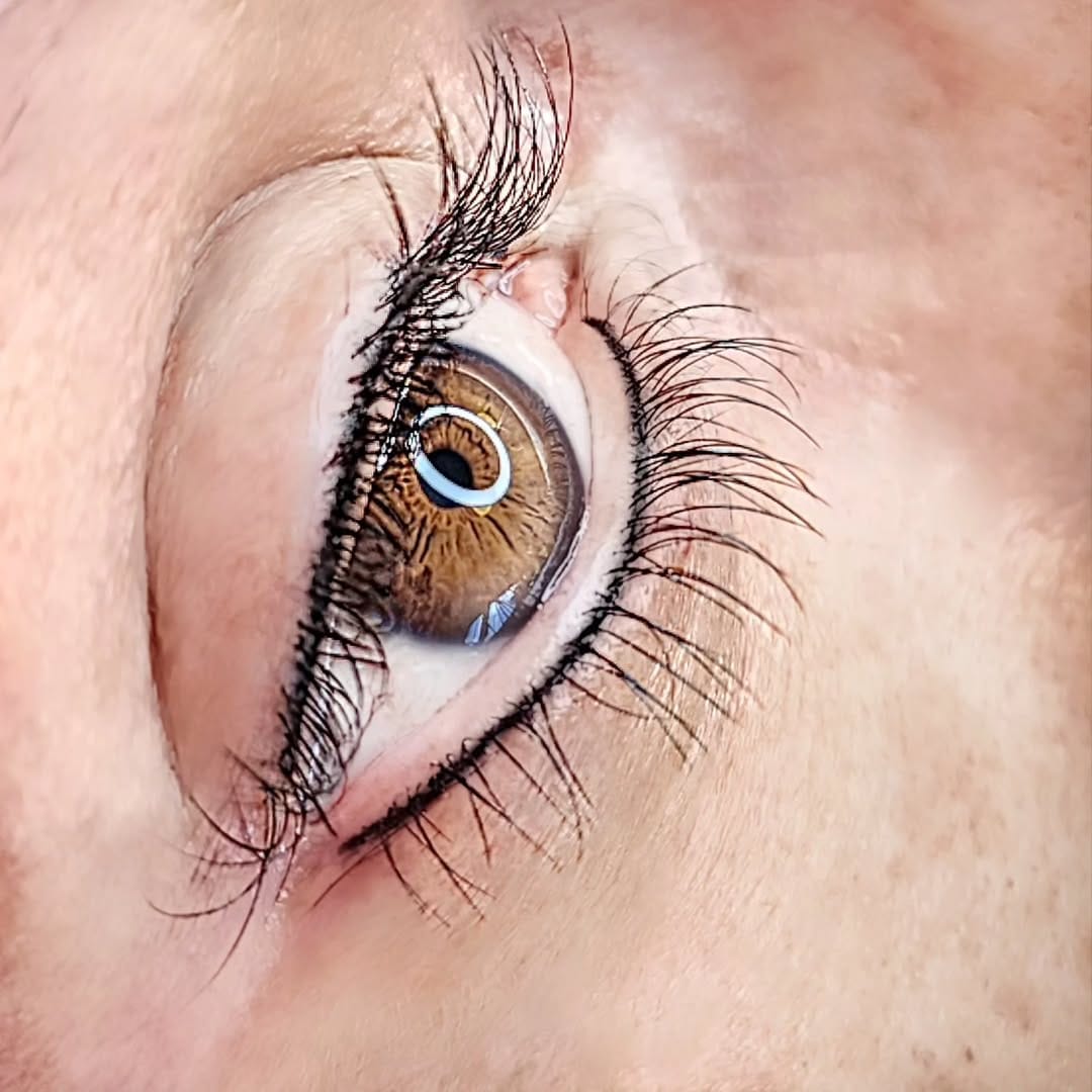 Post 4 by Master Alba Peregrina on Instagram (image)