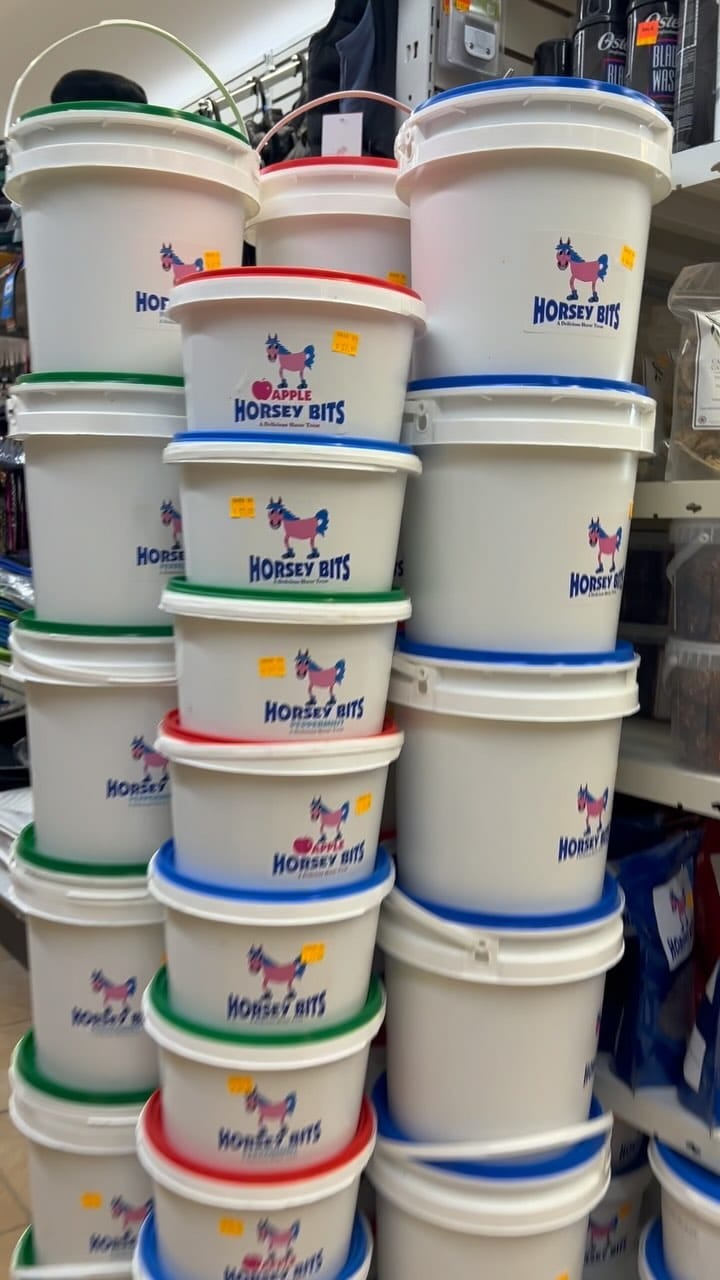 Post 5 by HORSEY BITS on Instagram (video)