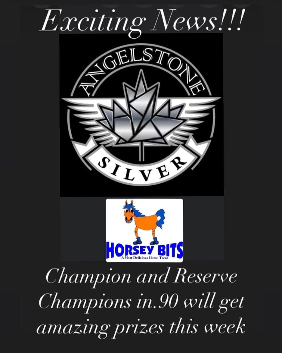 Post 8 by HORSEY BITS on Instagram (image)