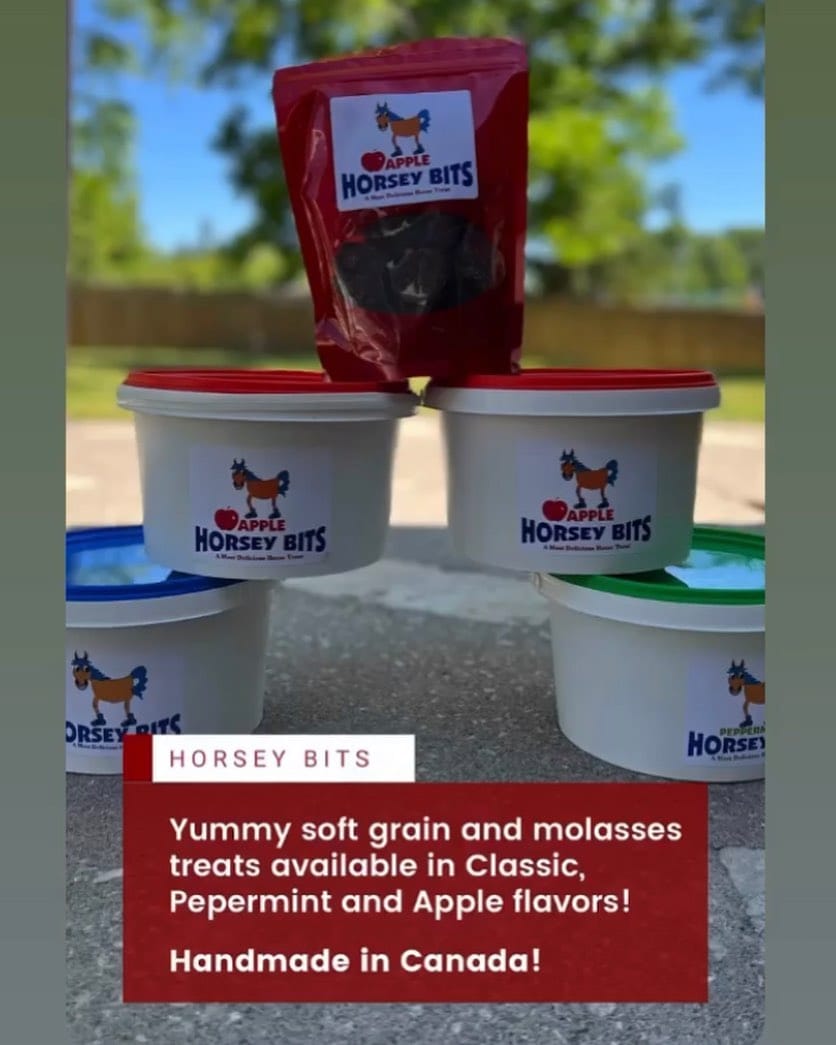 Post 10 by HORSEY BITS on Instagram (image)