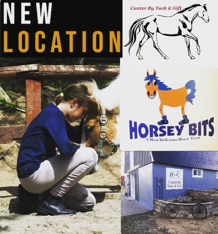 Post 9 by HORSEY BITS on Instagram (image)
