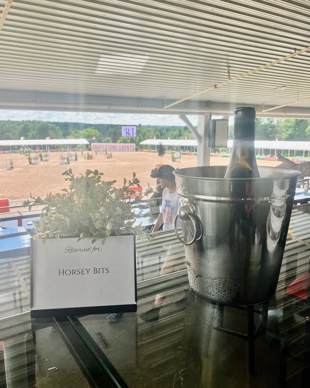Post 1 by HORSEY BITS on Instagram (image)