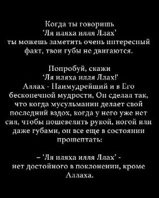 Post 10 by Малаев Саидмухаммадбадеуддин on Instagram (video)