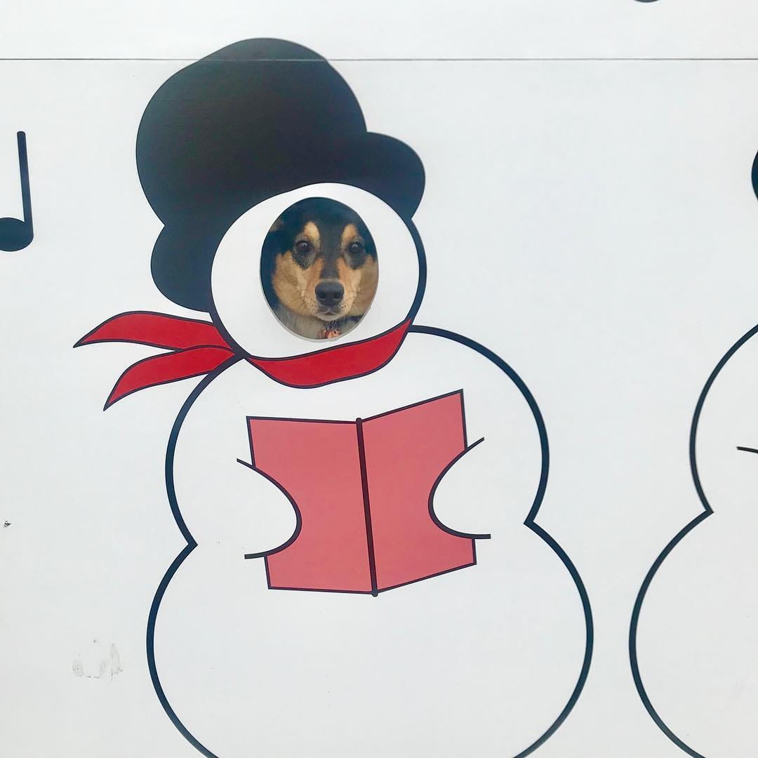 Post 5 by Maya N on Instagram (image)