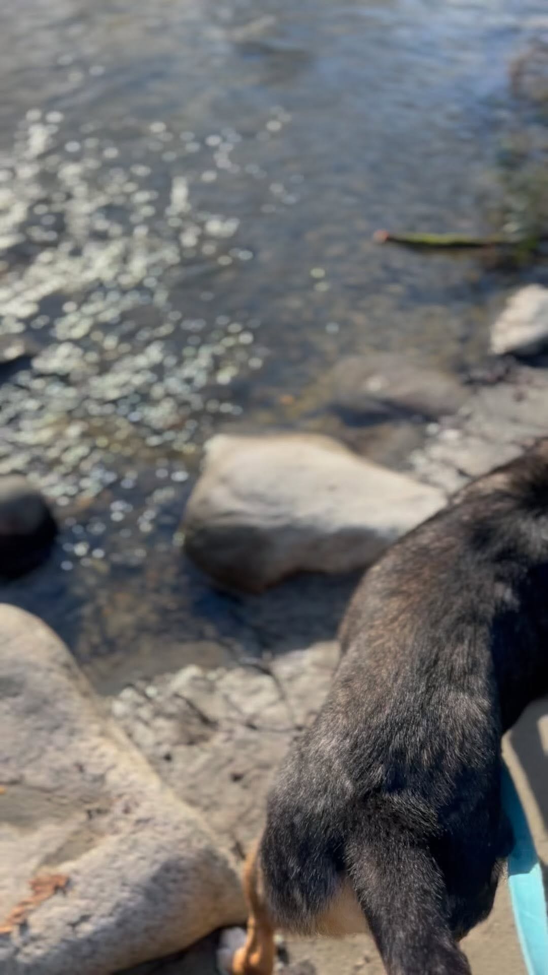 Post 1 by Maya N on Instagram (video)