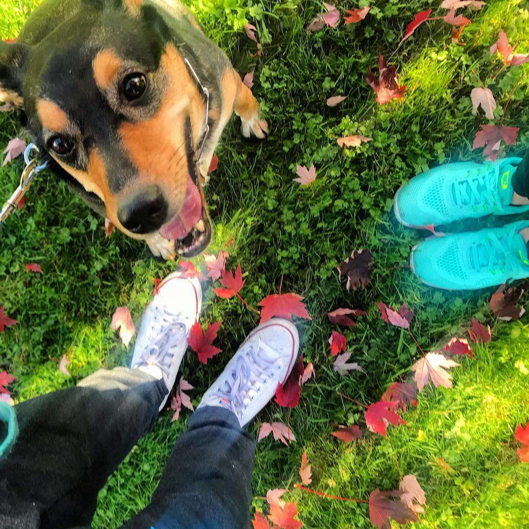 Post 10 by Maya N on Instagram (image)