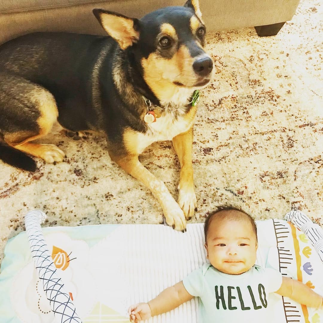 Post 4 by Maya N on Instagram (carousel)