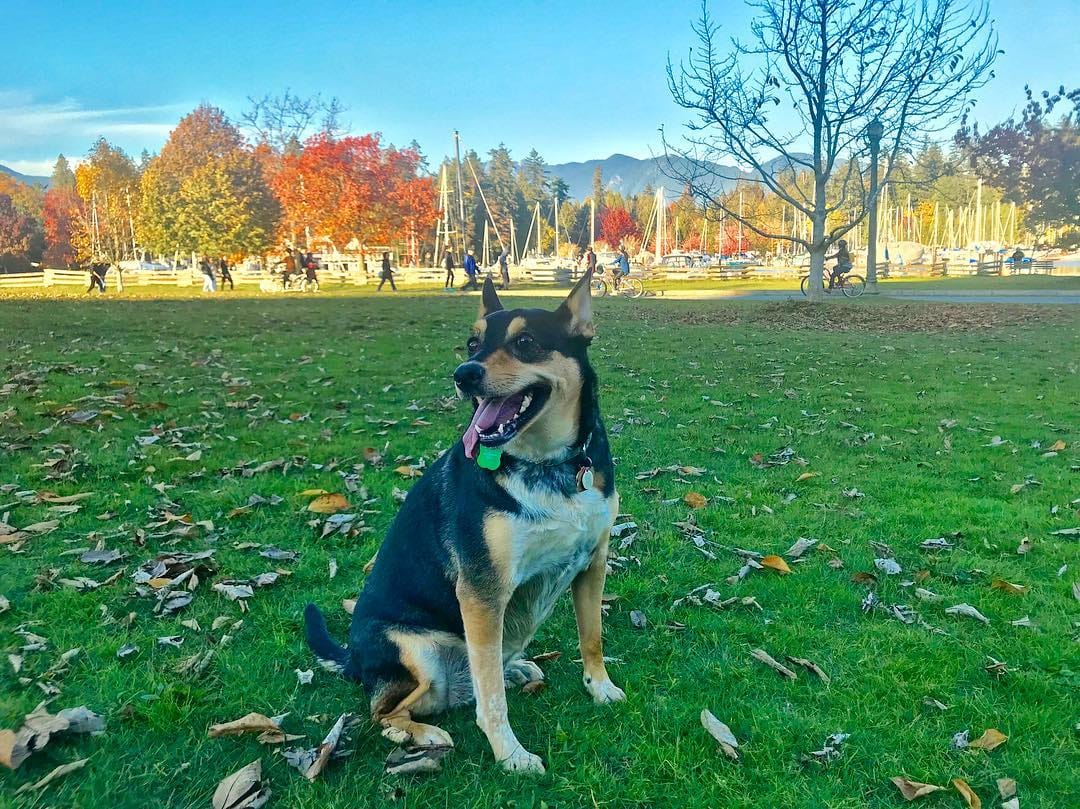 Post 7 by Maya N on Instagram (image)