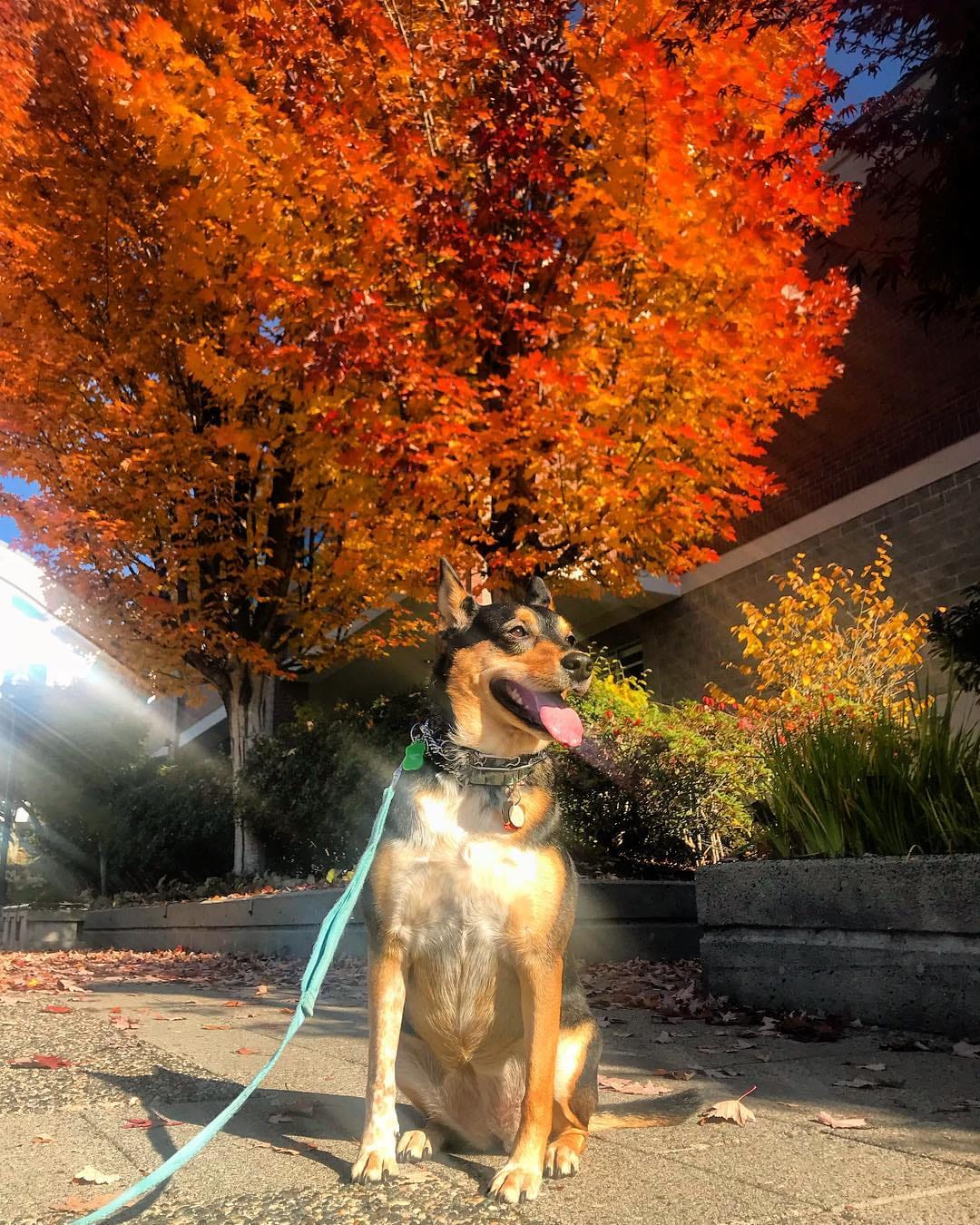 Post 9 by Maya N on Instagram (image)