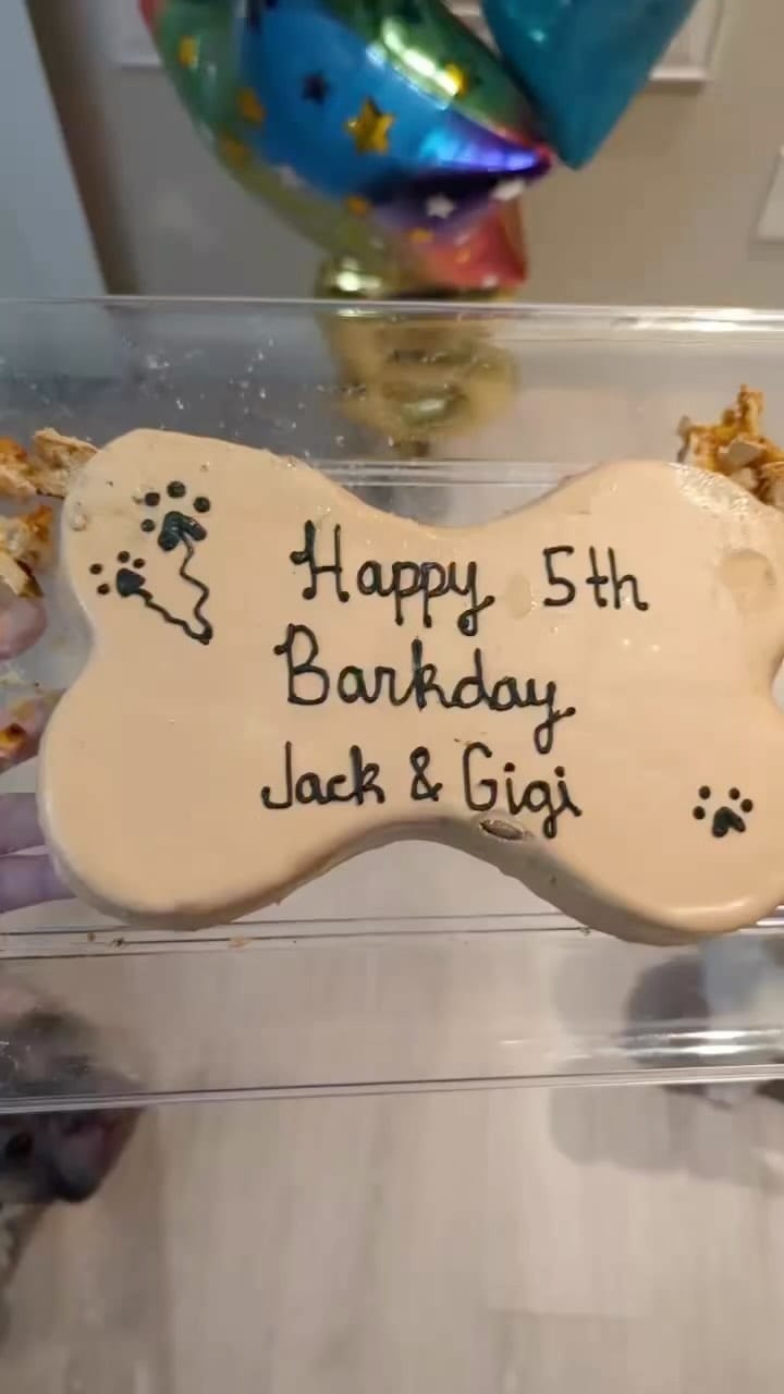 Post 3 by Gigi & Jack on Instagram (video)