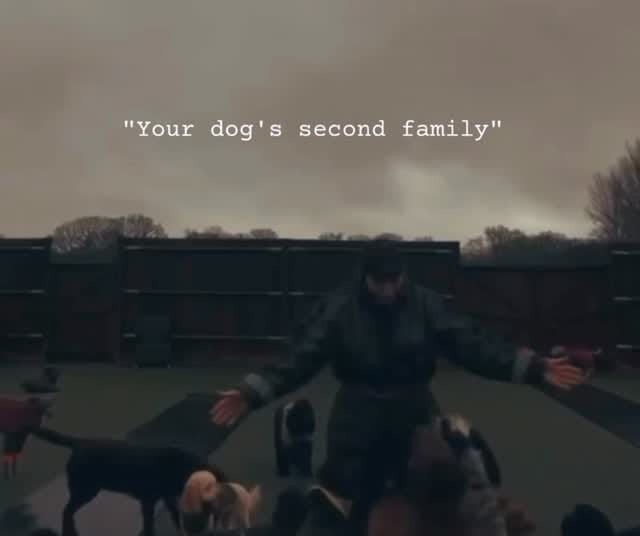 Post 5 by Eddie's Doggy Daycare on Instagram (video)