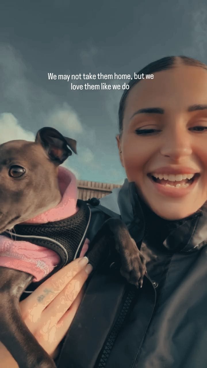 Post 9 by Eddie's Doggy Daycare on Instagram (video)