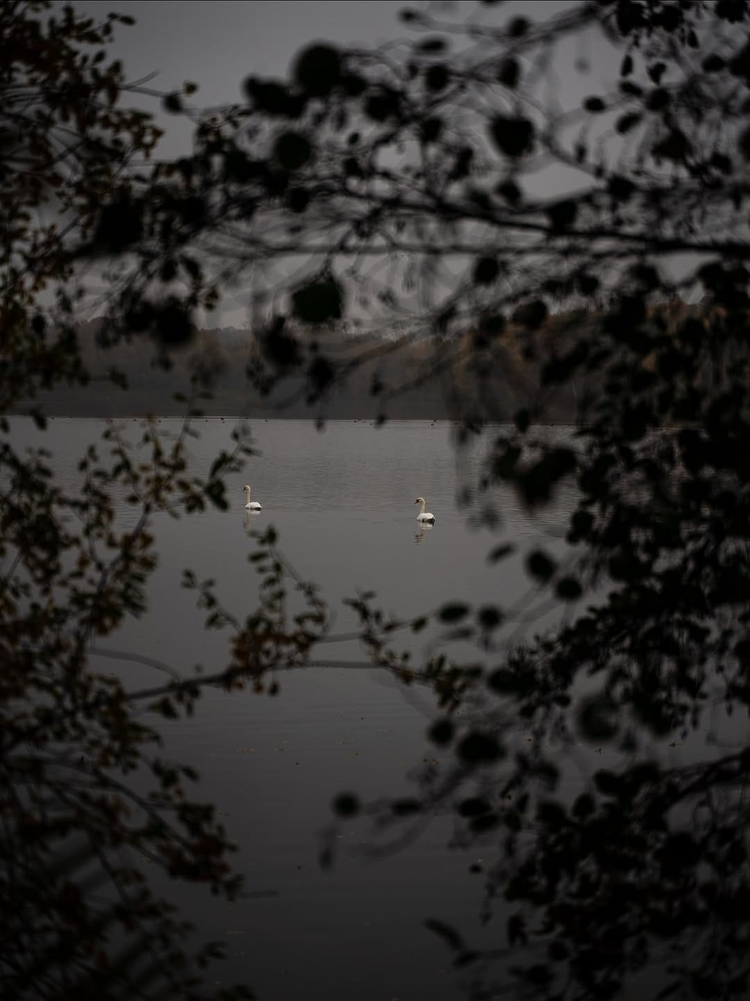 Post 8 by Torben Seemann on Instagram (carousel)