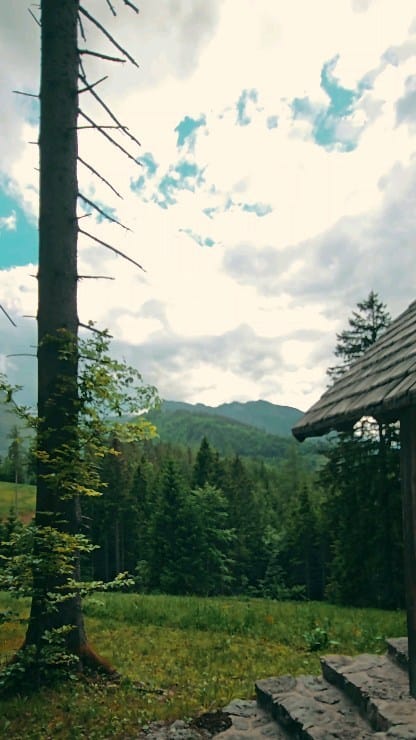 Post 2 by CeMiles on Instagram (video)