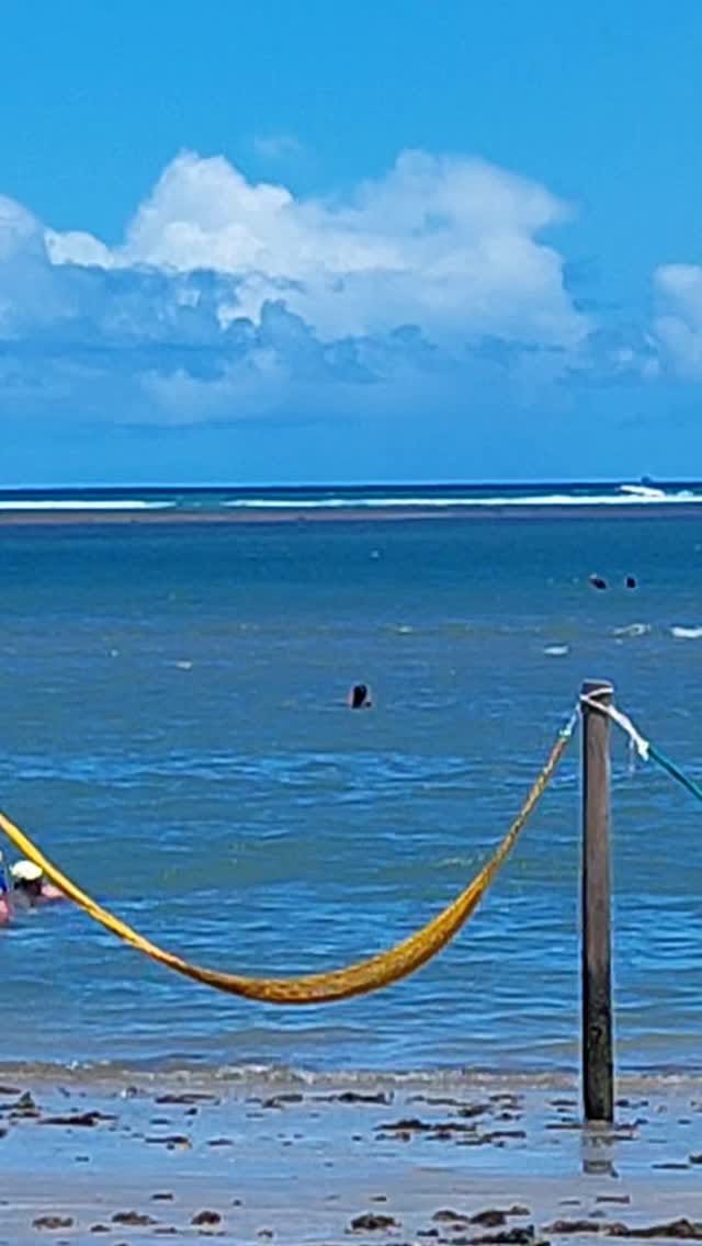 Post 5 by Weliton Antonio De Assis on Instagram (video)