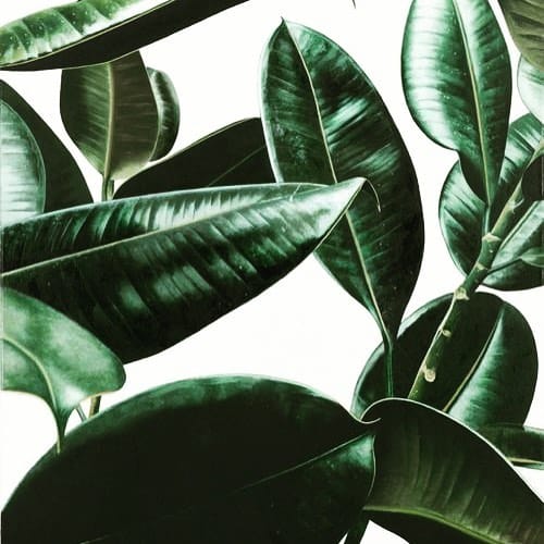 Post 1 by B E L L E - E P O Q U E ™ on Instagram (image)
